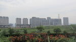公园 背景   景观  图片 