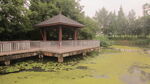  风景素材 景观  背景图片 