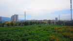  风景素材 景观  背景图片 