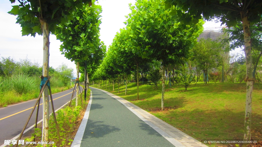 路拍 街景   道路  马路 