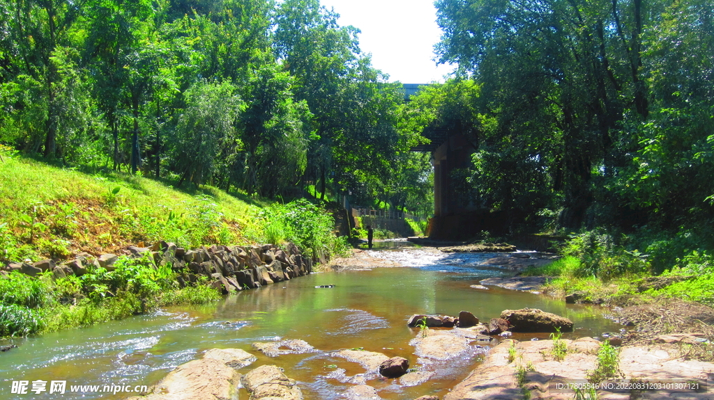 泉水 小溪水 河水  碧水  