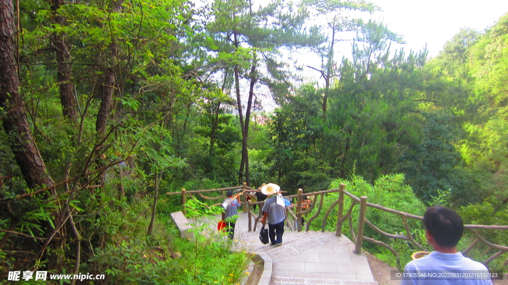 步行道  小道 道路 小径 