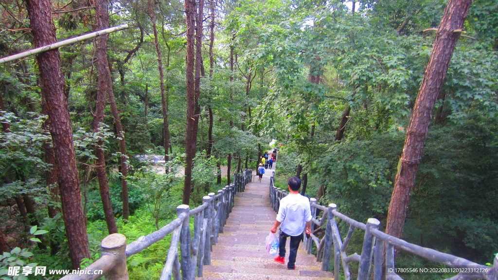 步行道  小道 道路 小径 