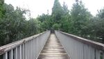 公园视频  自然风景 视频MP
