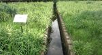 公园视频  自然风景 视频MP