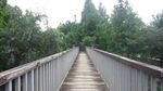 公园视频  桥头 行走背景  