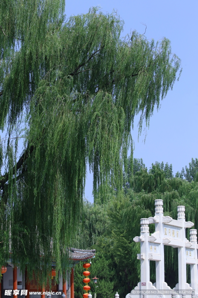 公园风景