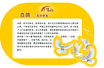 白鸽介绍