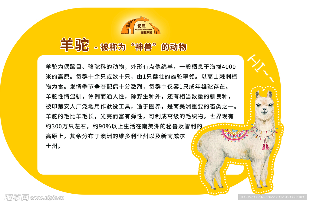 动物介绍篇