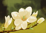 手绘玉兰花