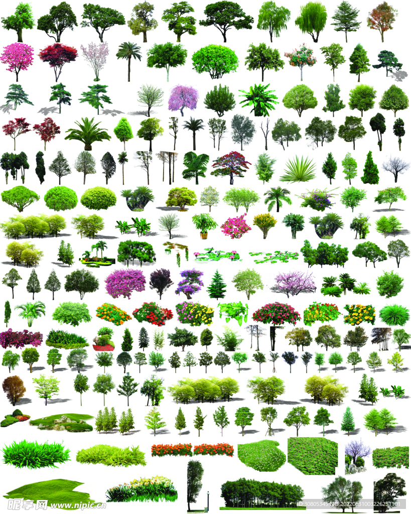 景观植物素材