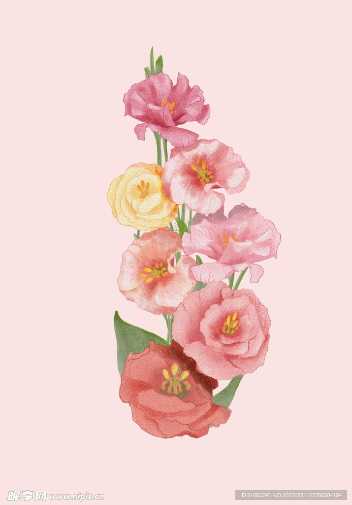 粉色背景花朵素材