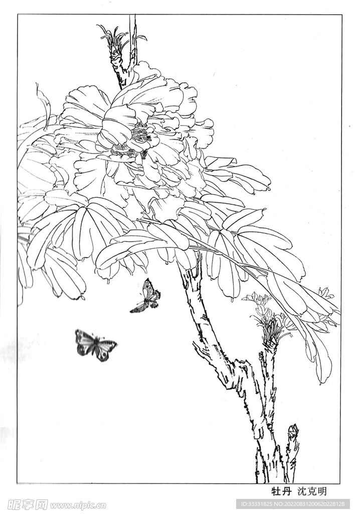 工笔花鸟