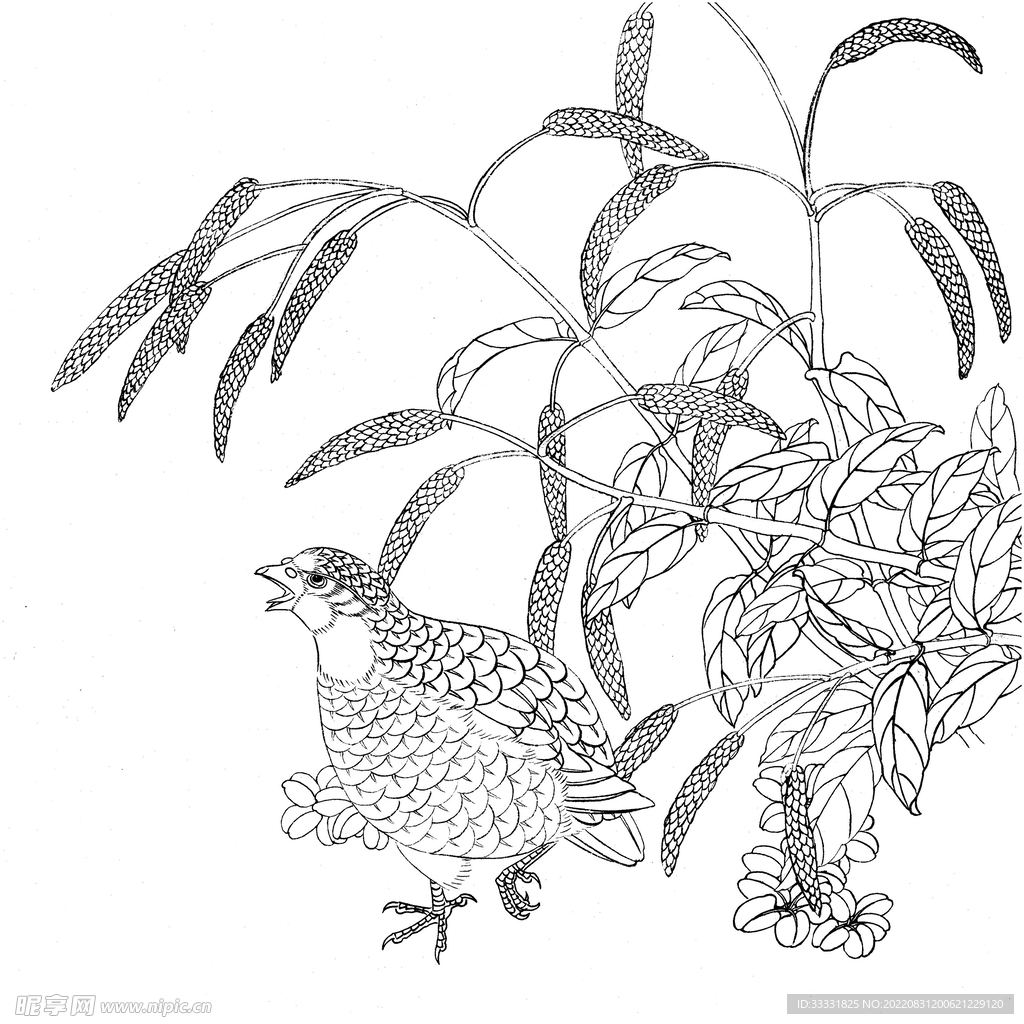 工笔花鸟