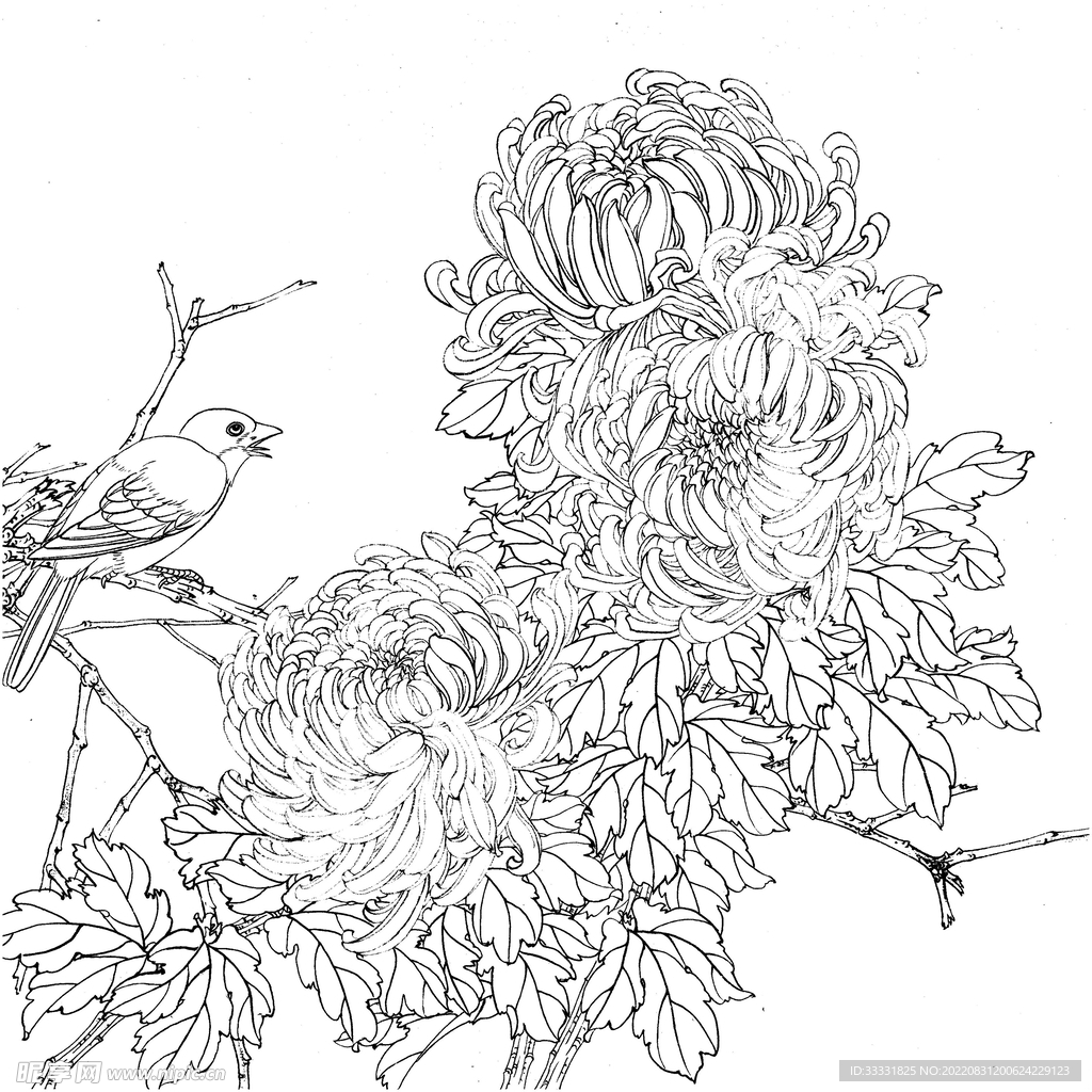 工笔花鸟