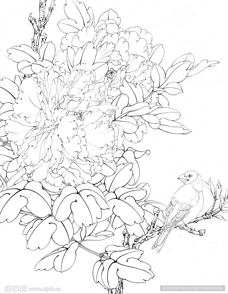 工笔花鸟
