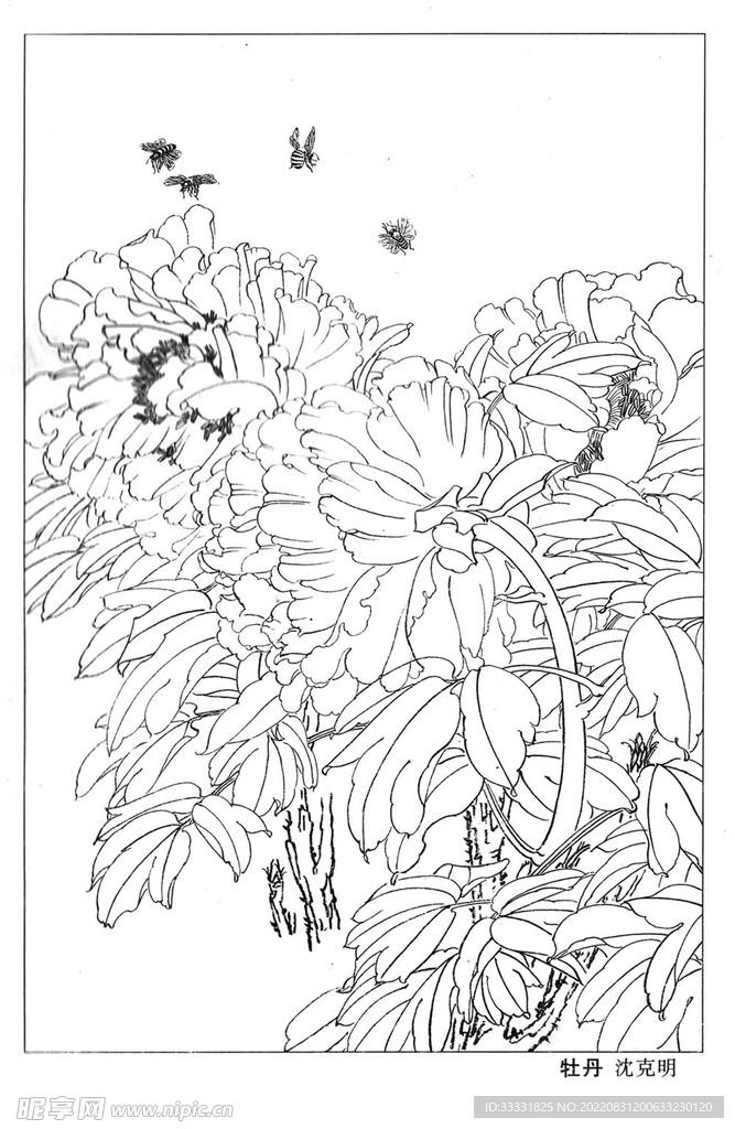 工笔花鸟