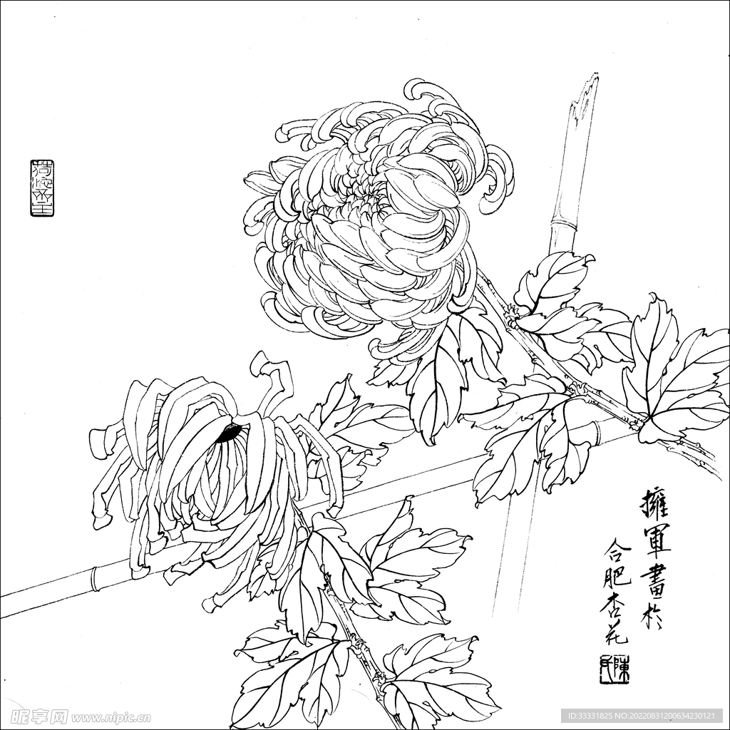 工笔花鸟