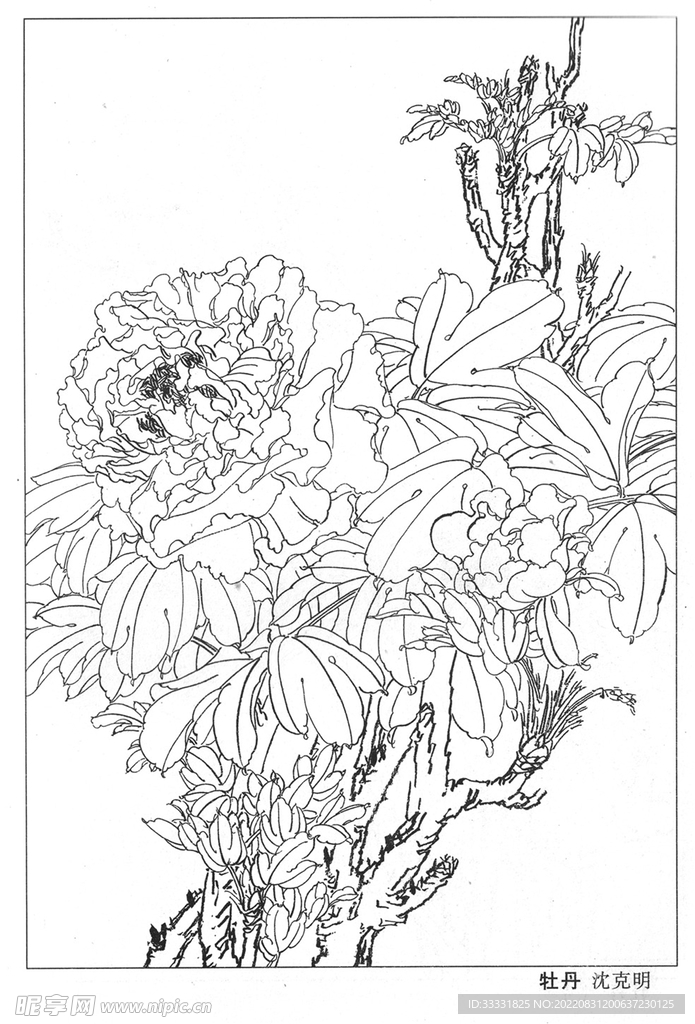 工笔花鸟
