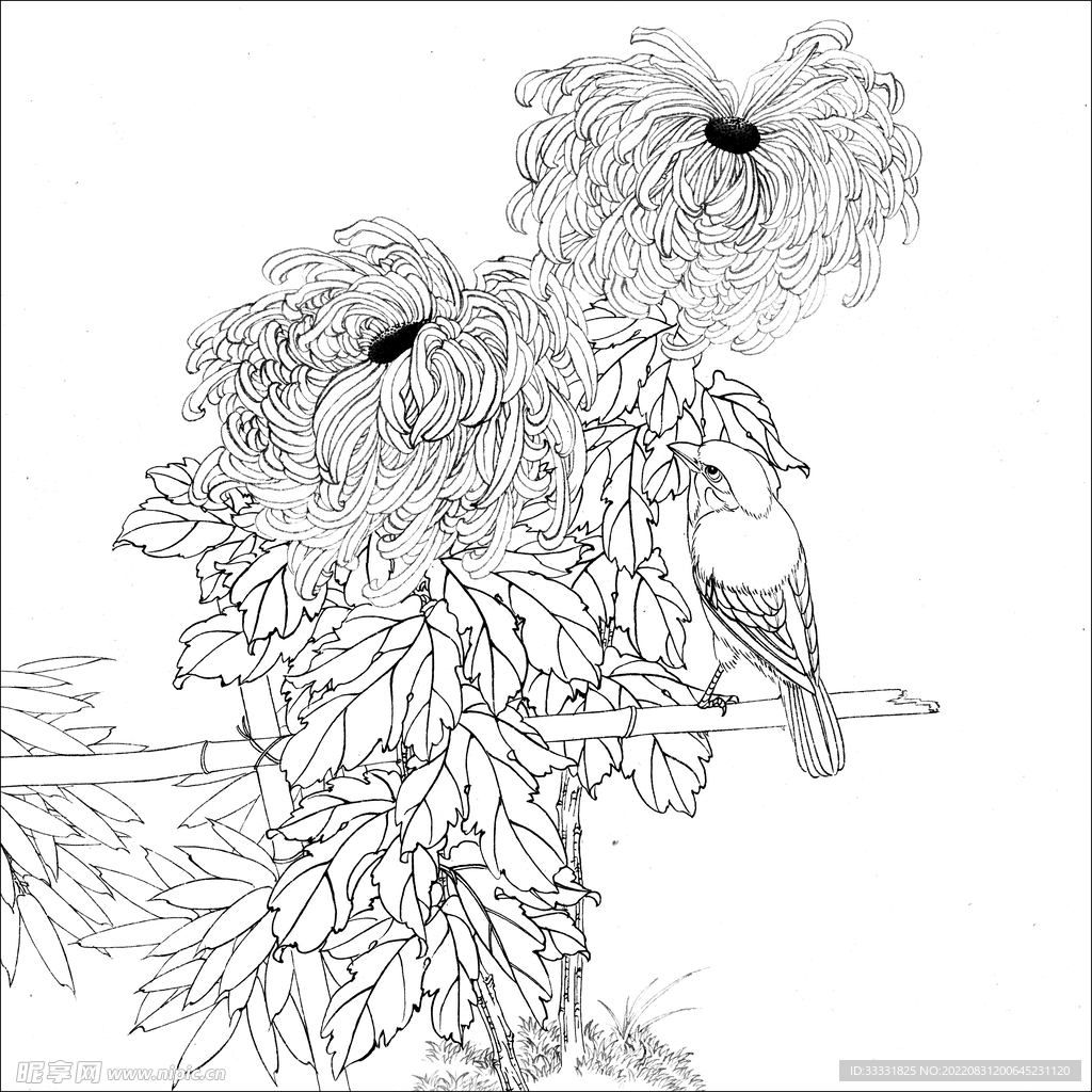 工笔花鸟