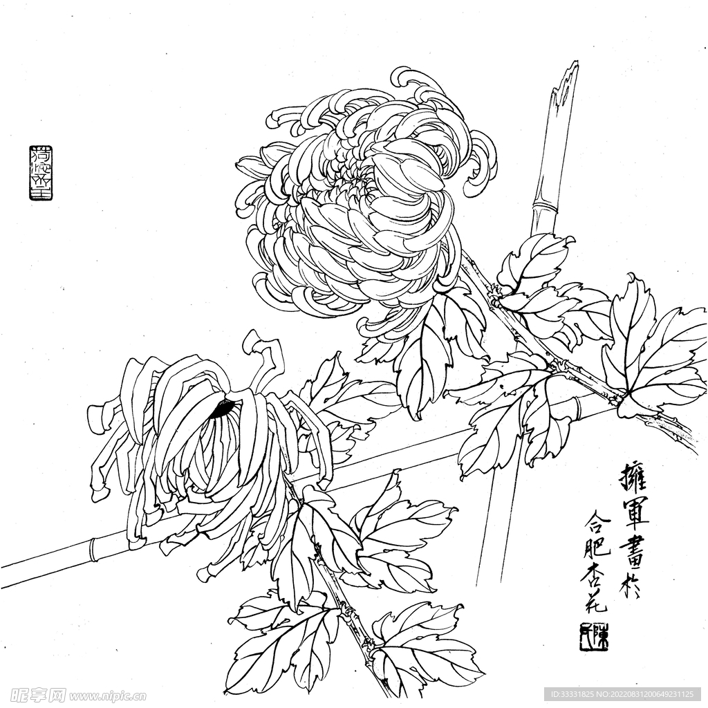 工笔花鸟