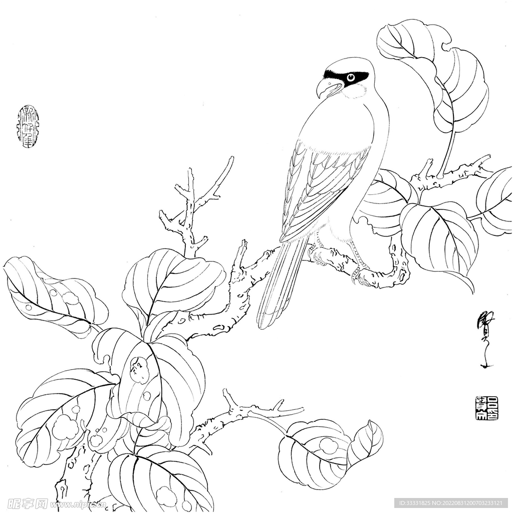 工笔花鸟