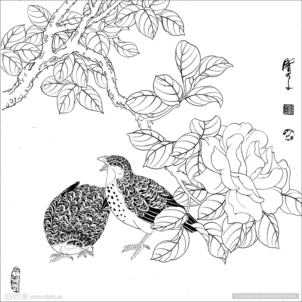 工笔花鸟
