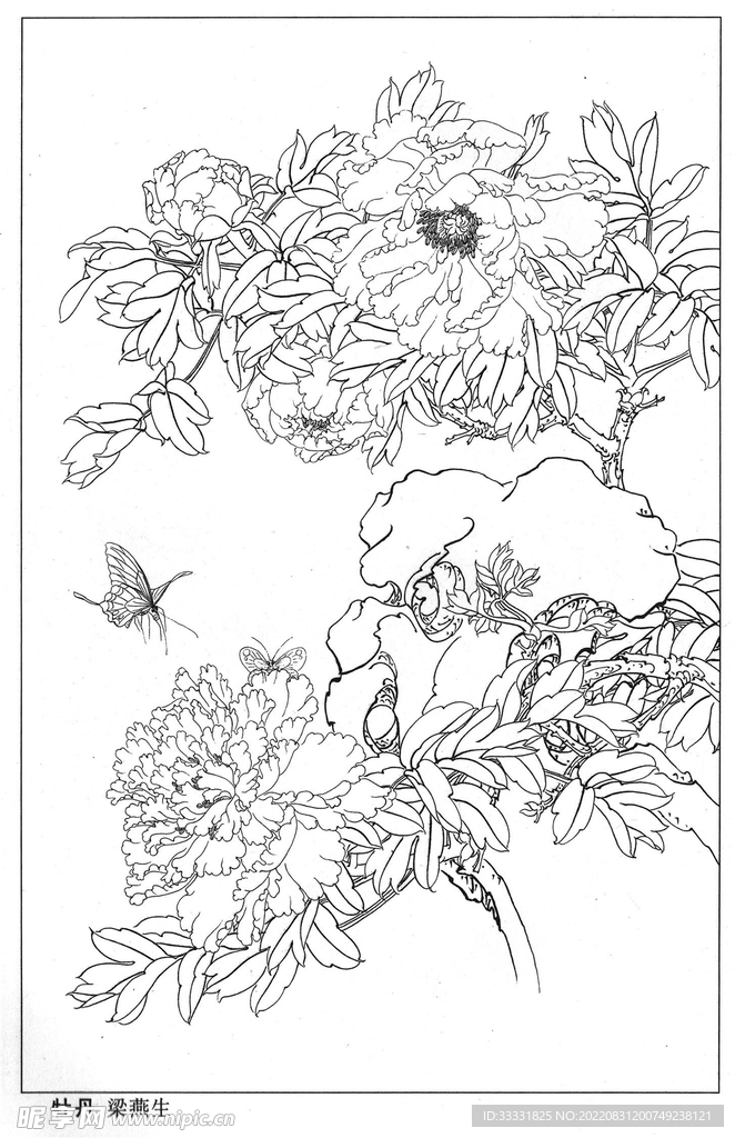 工笔花鸟