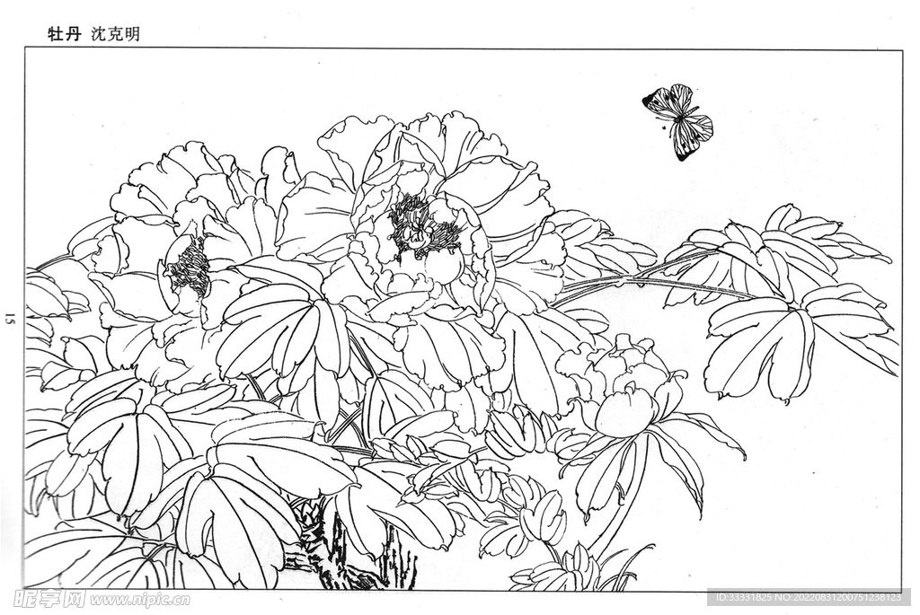 工笔花鸟