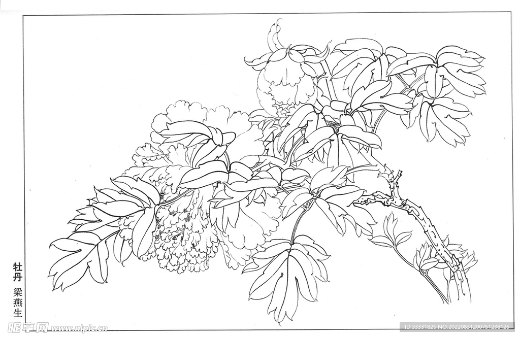 工笔花鸟