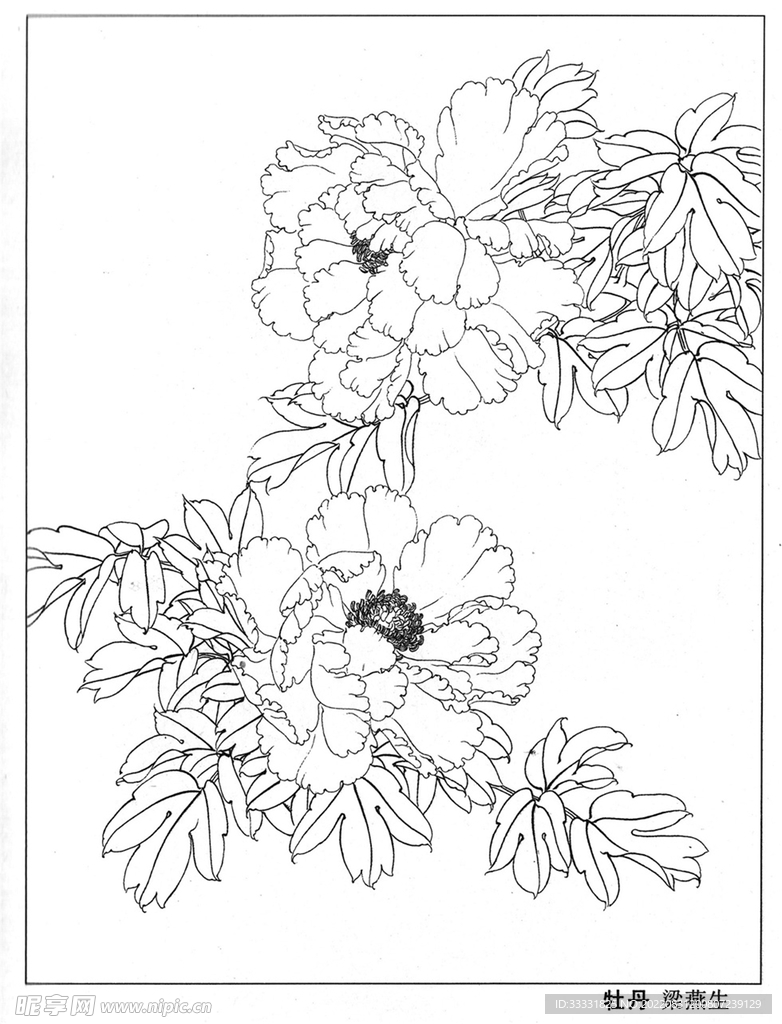 工笔花鸟