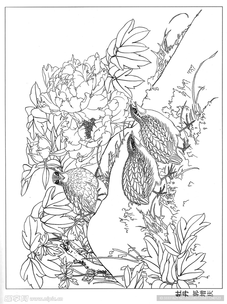 工笔花鸟