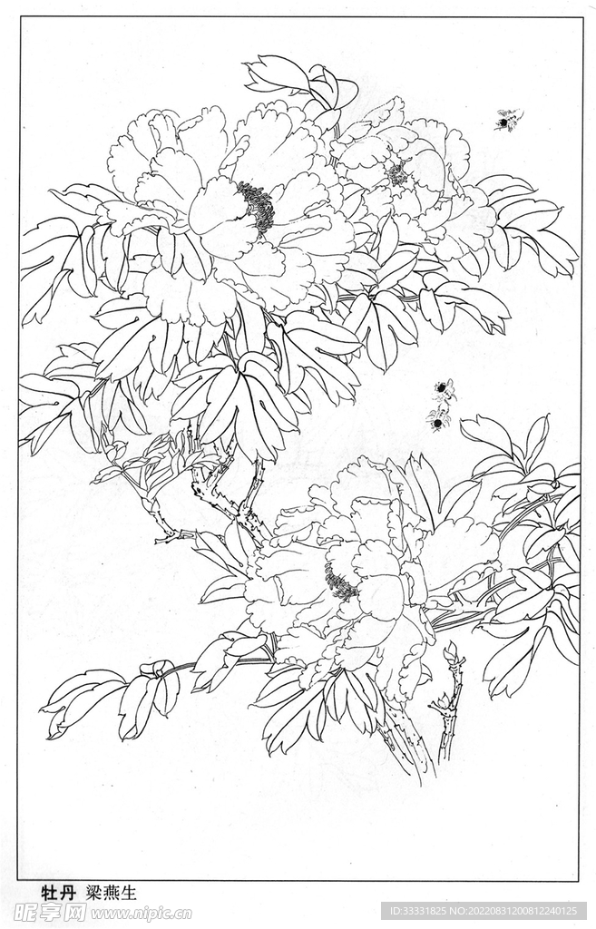 工笔花鸟