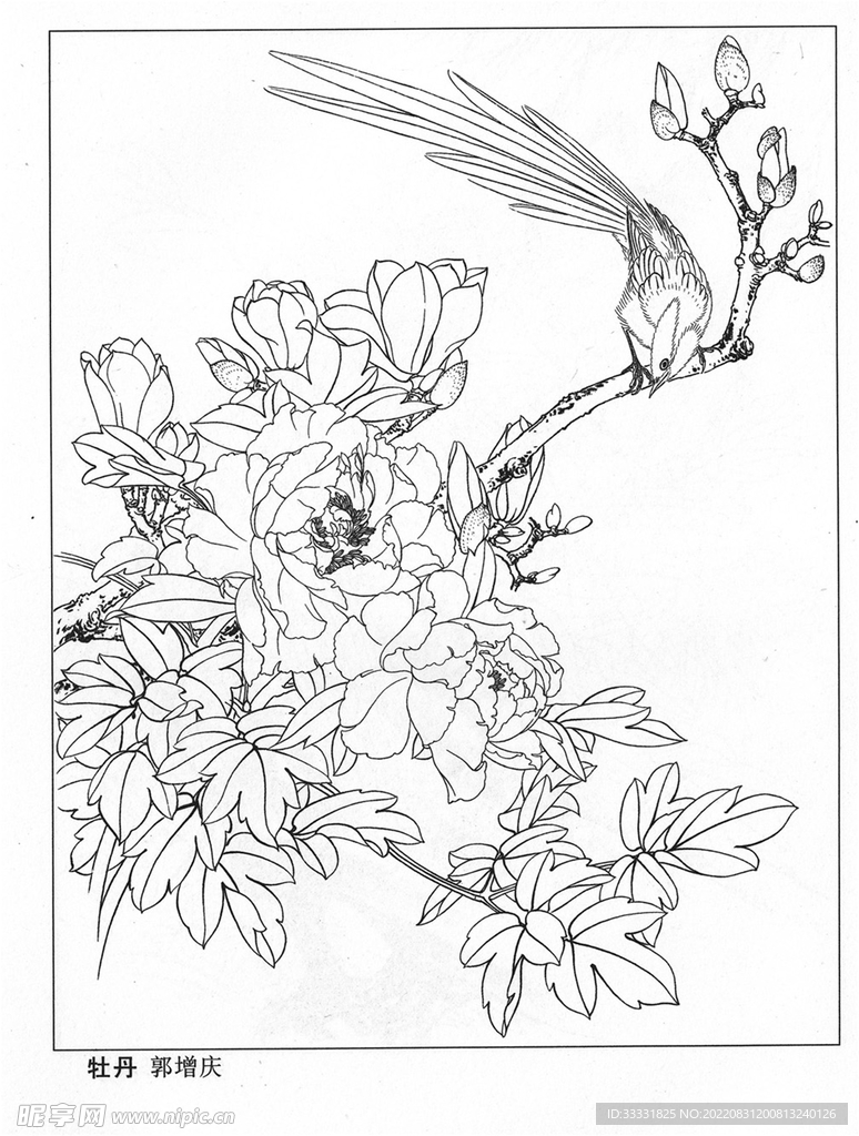 工笔花鸟
