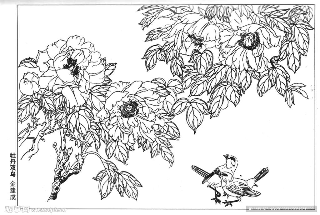 工笔花鸟