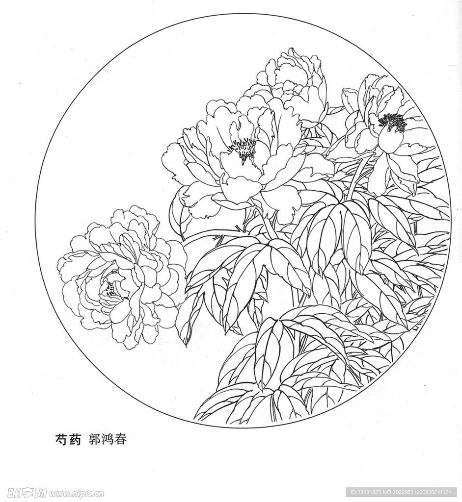 工笔花鸟