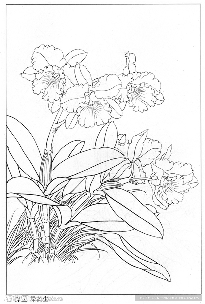 工笔花鸟