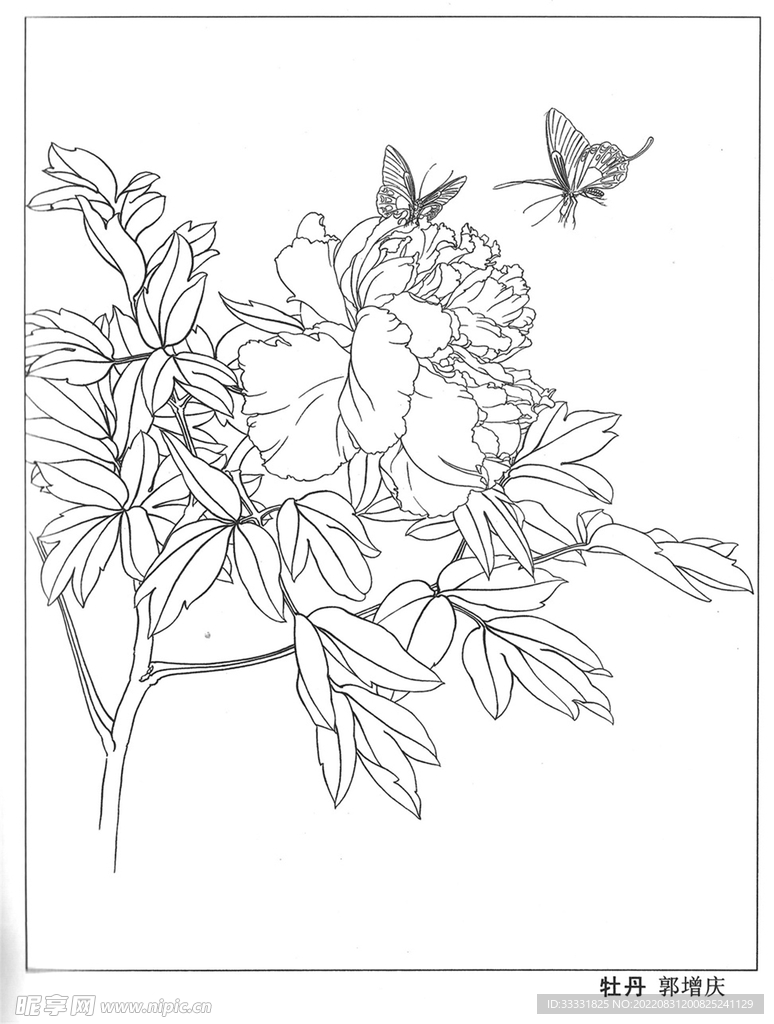 工笔花鸟