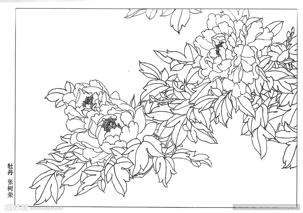 工笔花鸟
