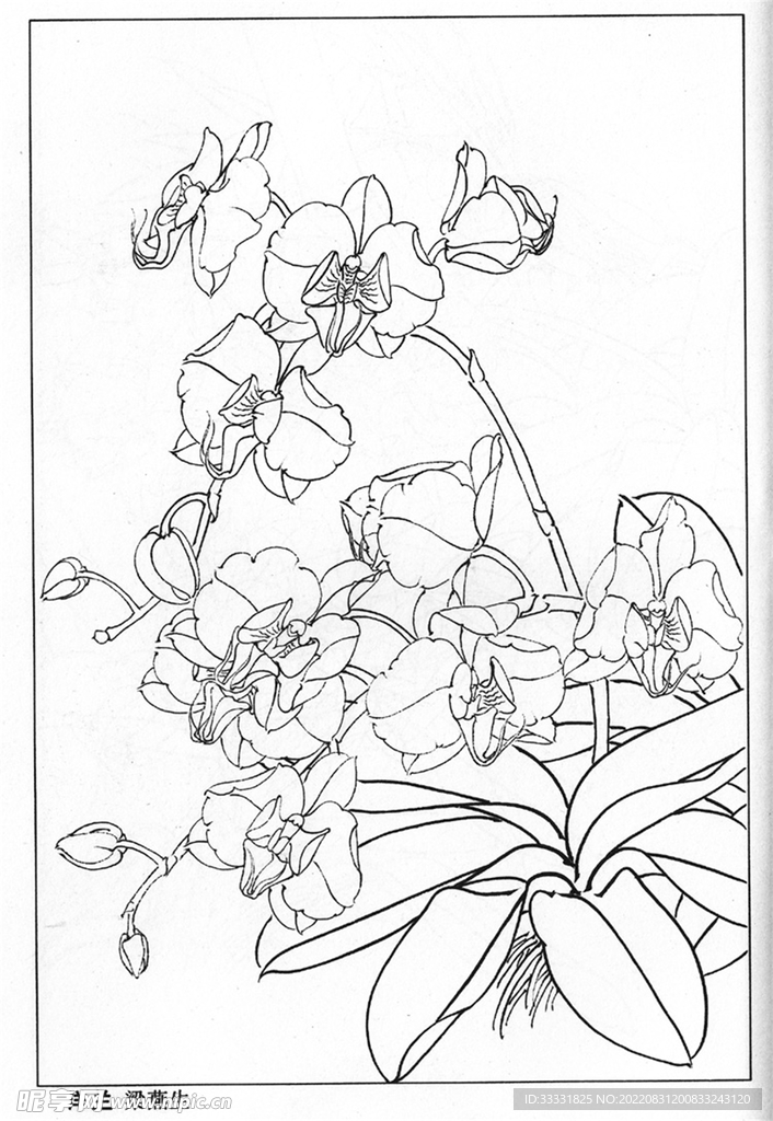 工笔花鸟