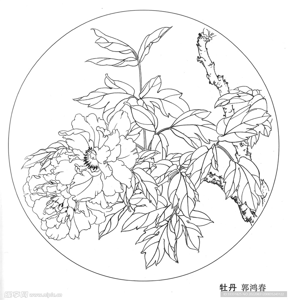 工笔花鸟