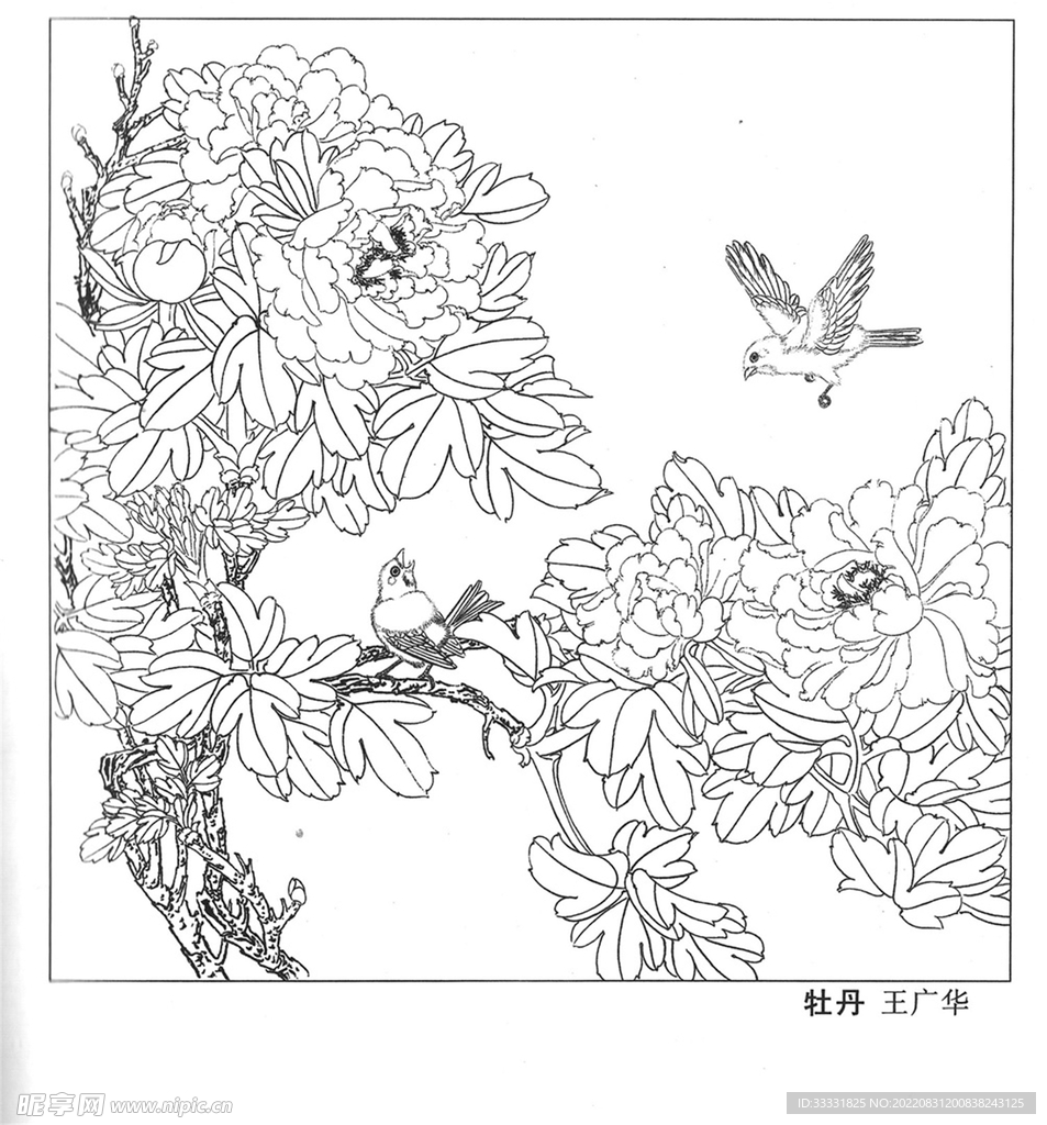 工笔花鸟