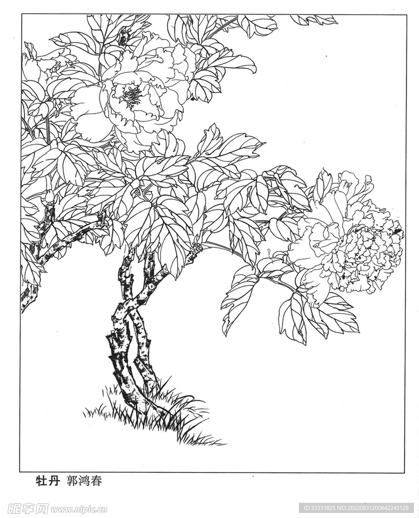 工笔花鸟
