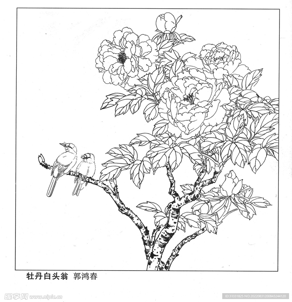 工笔花鸟