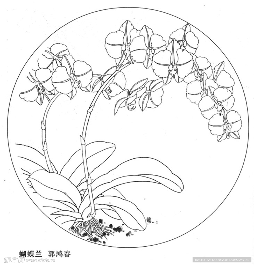 工笔花鸟