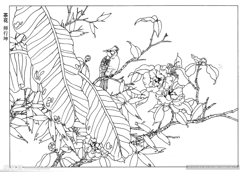 工笔花鸟