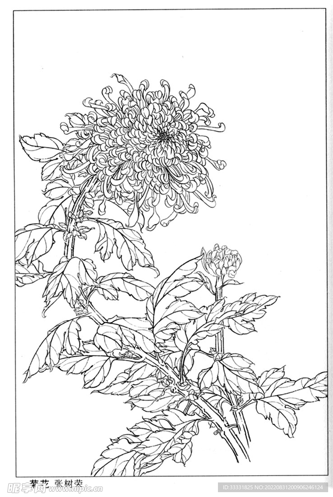 工笔花鸟