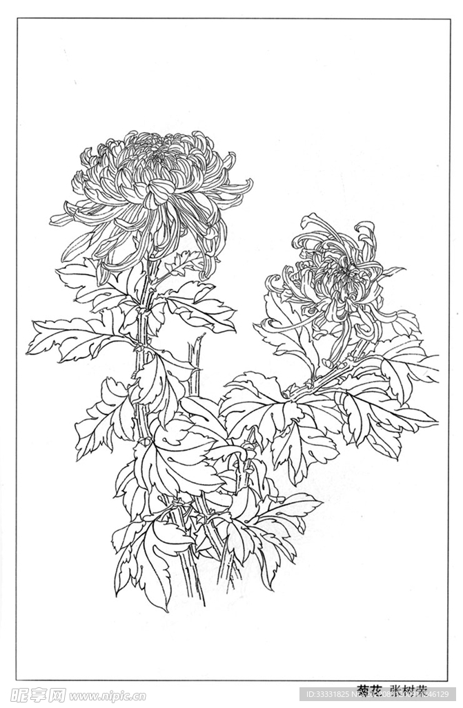 工笔花鸟