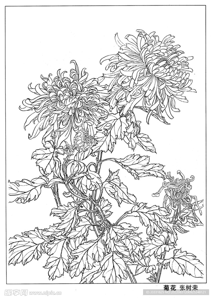 工笔花鸟