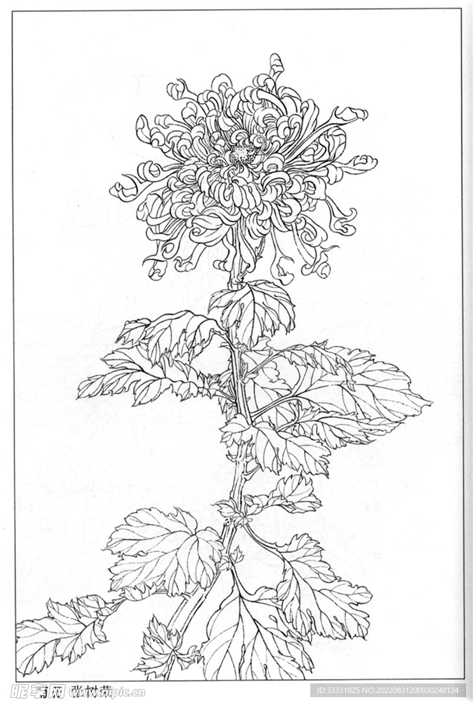 工笔花鸟